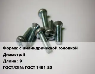 Винт с цилиндрической головкой 5х9 ГОСТ 1491-80